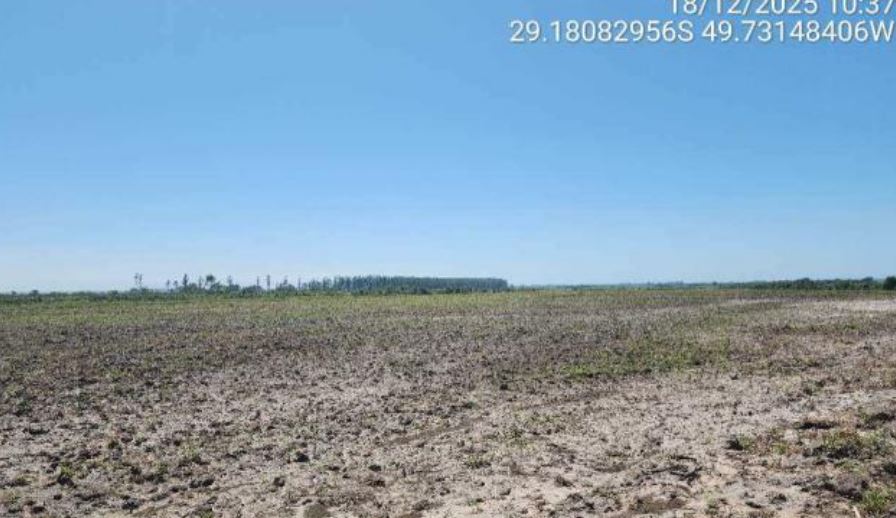 Imagem do imóvel São João do Sul – SC. Bairro Três Coqueiros. Terreno. Área Rural de 9,06ha.
