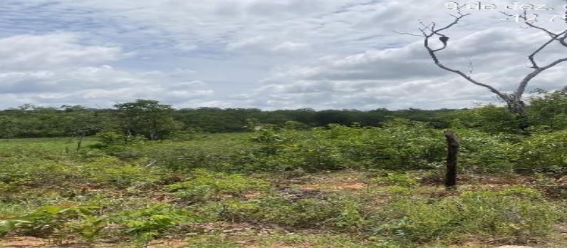 Serra dourada – ba. seta branca. fazenda são joaquim. área rural de 100ha