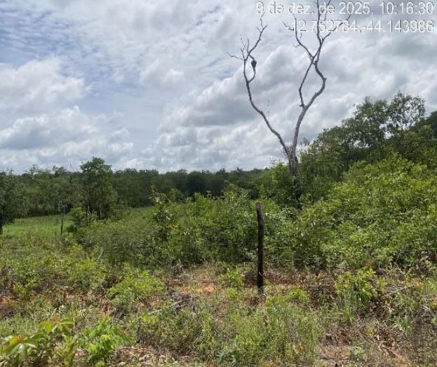 Serra dourada – ba. seta branca. fazenda são joaquim. área rural de 100ha - foto 2