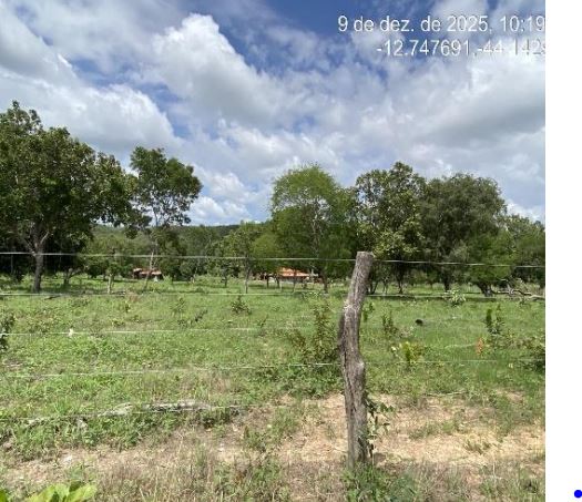 Serra dourada – ba. seta branca. fazenda são joaquim. área rural de 100ha - foto 3