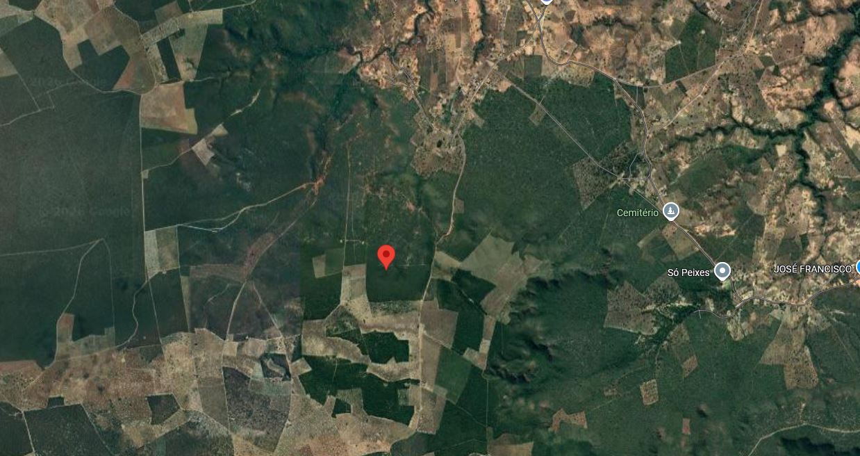 Serra dourada – ba. seta branca. fazenda são joaquim. área rural de 100ha - foto 5