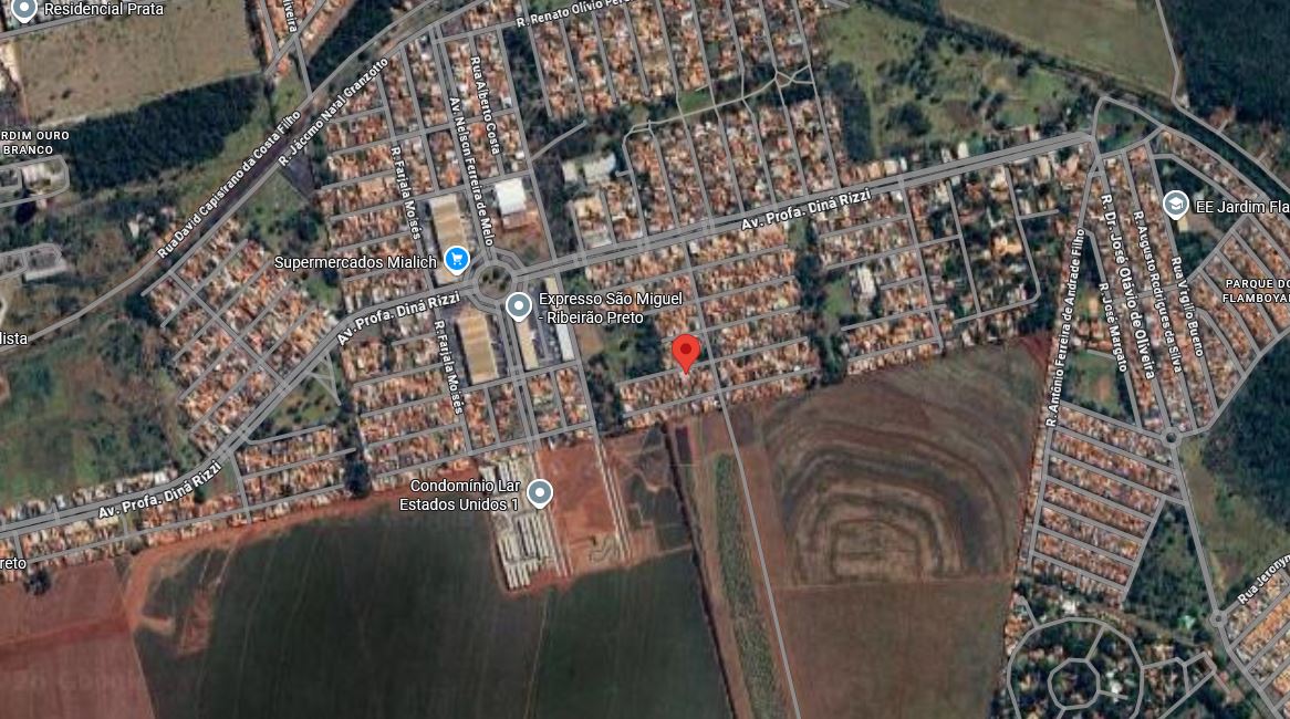 miniatura-3