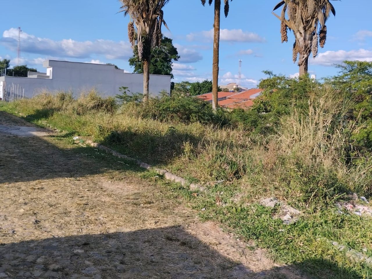 Ibiapina – CE. Bairro São João. Terreno. Áreas Totais. Terr. 600,00m², localizado em Ibiapina - CE, bairro São João