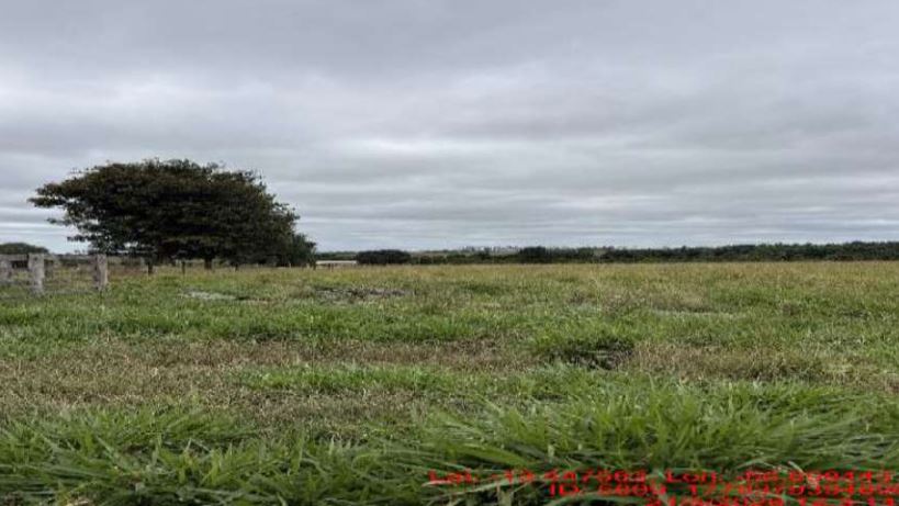 Imagem do imóvel São José do Rio Claro – MT. Bairro Zona Rural. Terreno. Áreas Totais. Terr. 12,10ha