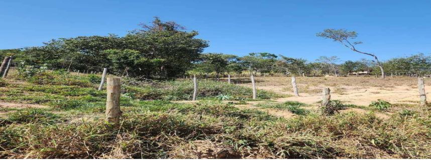 Imagem do imóvel Esmeraldas - MG. Zona Rural. Fazenda Fortaleza. Terreno com 52,55,85ha