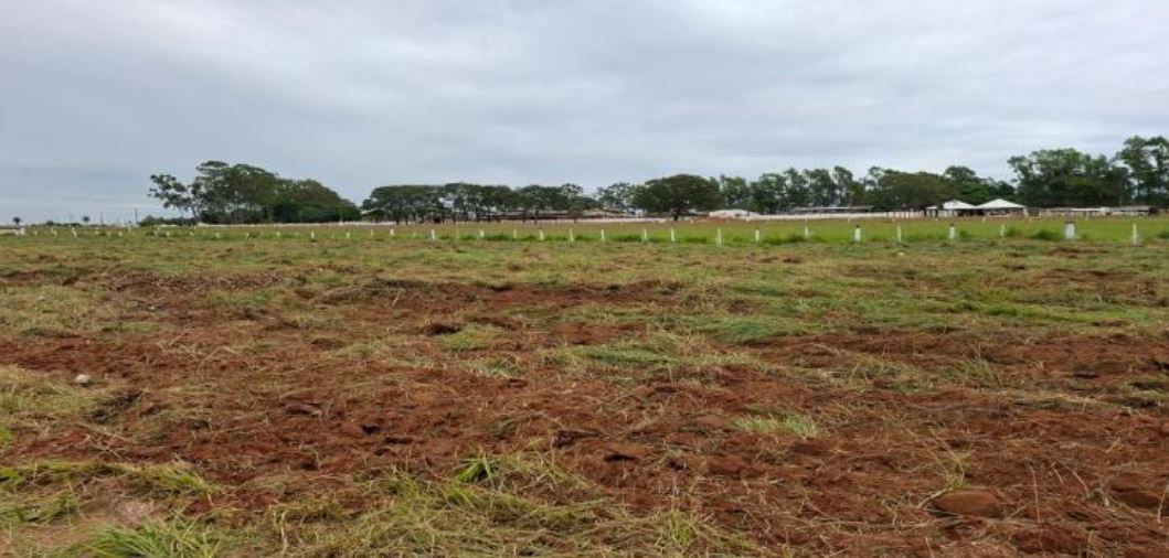 Imagem do imóvel Amambai – MS. Bairro Frac. De Chácara. Terreno. Áreas Totais. Terr. 1.251,00m²