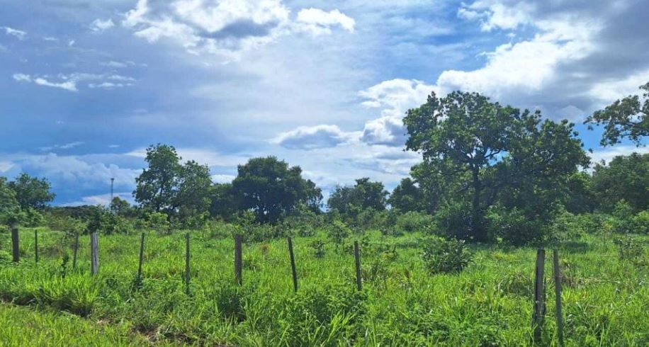 Imagem do imóvel Cuiabá – MT. Bairro Zona de Expansão Urbana Sul.Terreno. Áreas Totais. Terr. 13.020,10m²