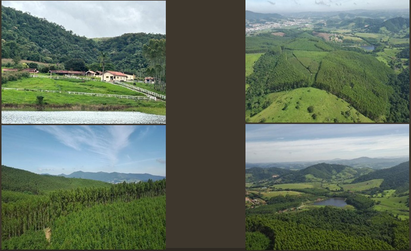 Bom Jesus dos Perdões - SP - Fazenda com 188,23 Ha, localizado em Bom Jesus Dos Perdões - SP, bairro Guaxinduva