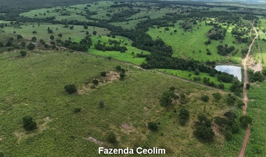 Imagem do imóvel Nossa Senhora do Livramento - MT. Fazenda Ceolim V com 590,759ha