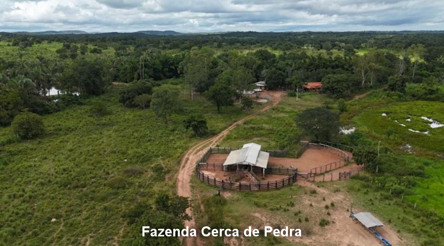 Imagem do imóvel Nossa Senhora do Livramento - MT. Fazenda Cerca de Pedra com 666,6696ha.