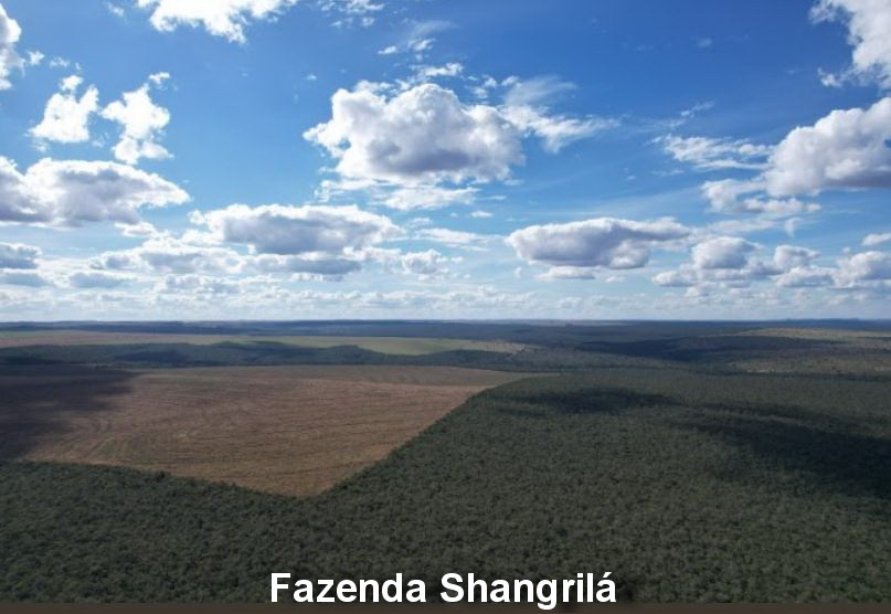 Novo são joaquim - mt. fazenda shangrilá com 564,651ha.