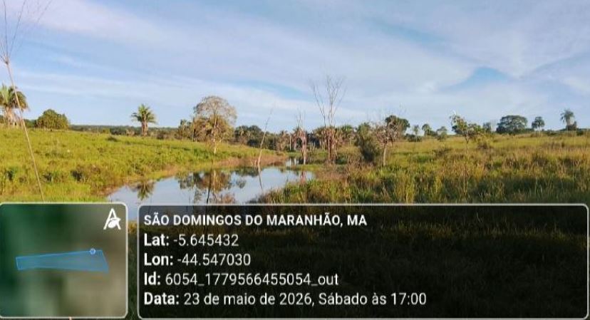 Imagem do imóvel São Domingos do Maranhão - MA. Fazenda São Joaquim. Área Terr. 32,98ha.
