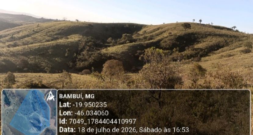 Imagem do imóvel Bambui - MG. Zona Rural. Fazenda São Jorge. Áreas Totais. Terr. 21,88ha
