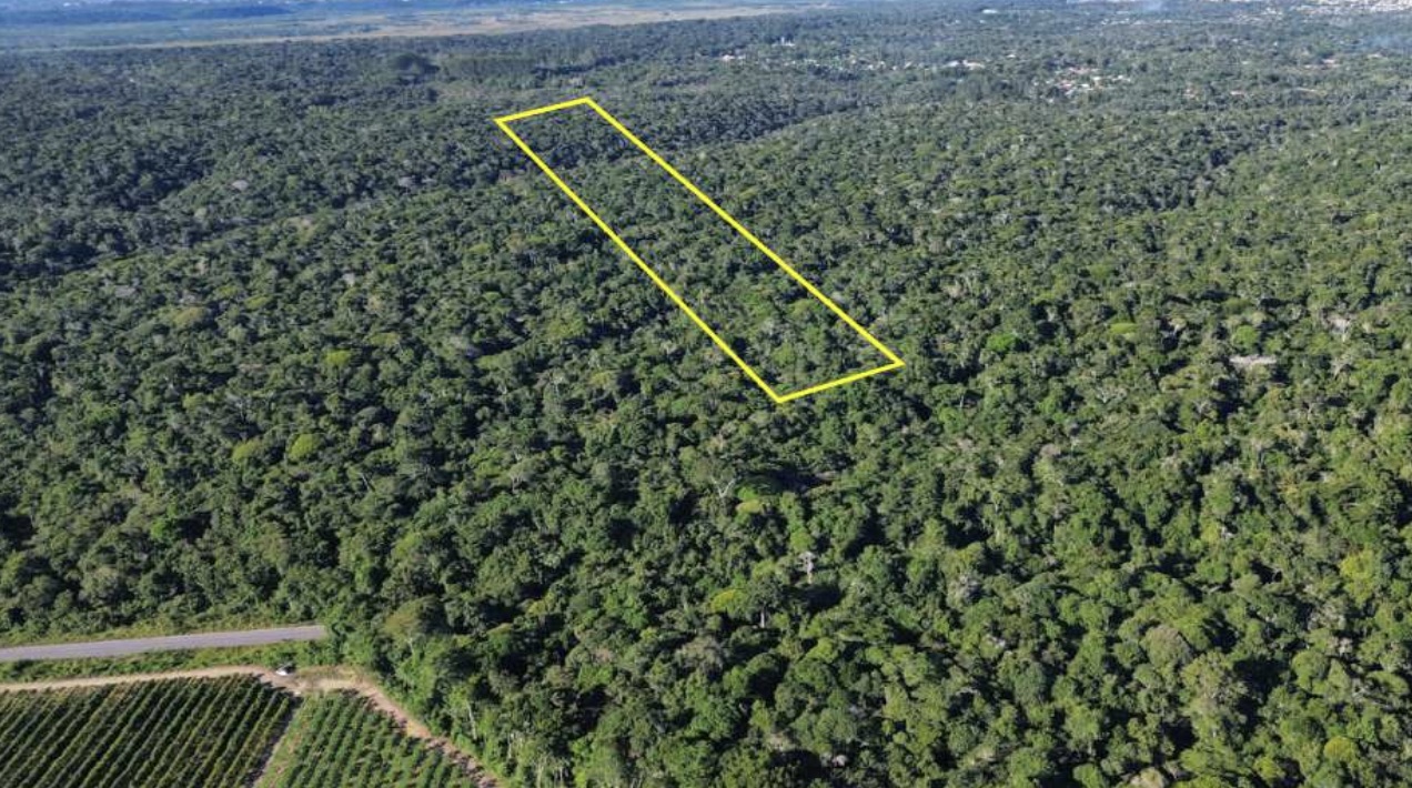 Imagem do imóvel Porto Seguro/BA – Arraial D’Ajuda - Fazenda com 2,88 Ha.