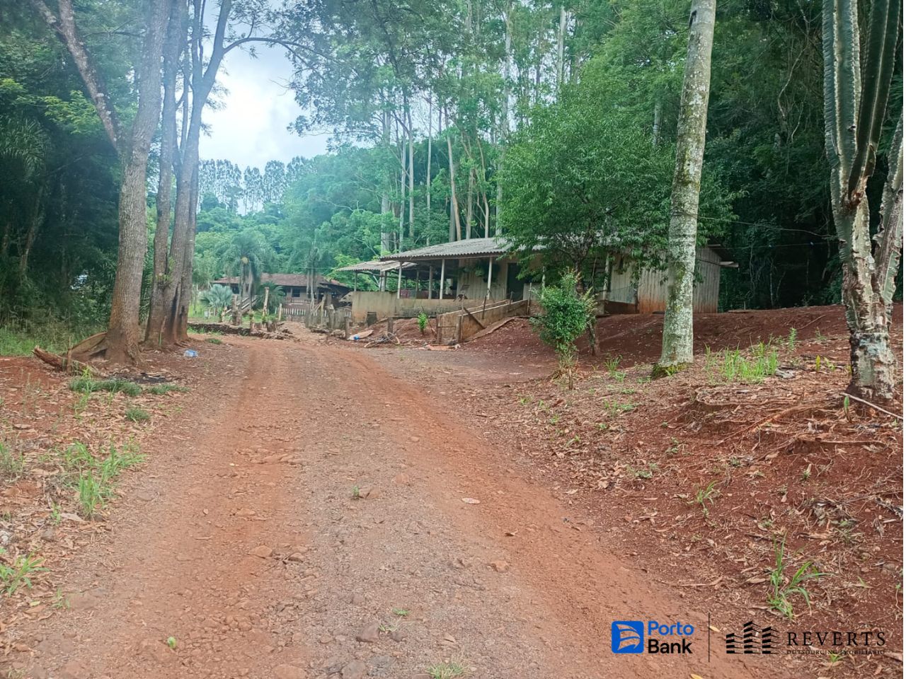 Imagem do imóvel Tamarana – PR. Fazenda Eldorado. Áreas Rural. Terr. 4.84ha.