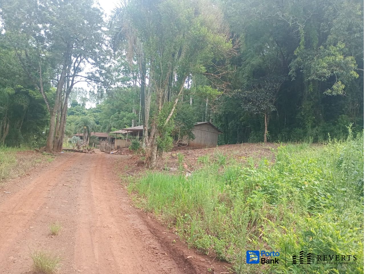Gleba (foto 2 de 3)