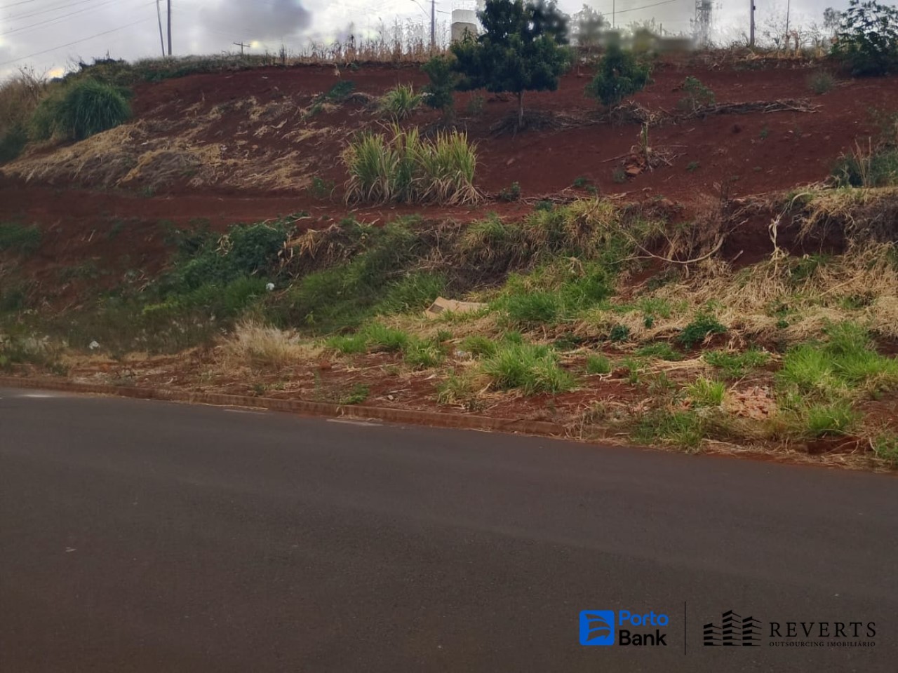 Terreno no Jd. Nova Altinópolis (foto 3 de 3)